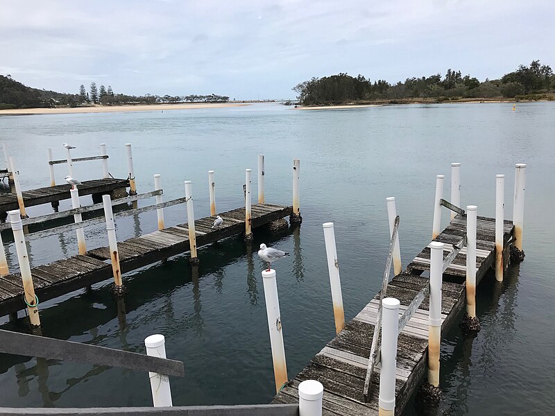 File:Private jetties near the mouth of the Nambucca River, NSW.jpg