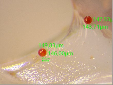 Propolis drops in red (units in micrometers)