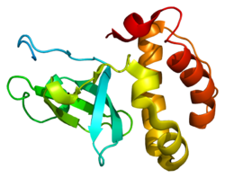 חלבון DNMT3B PDB 1khc.png