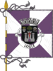 Bandeira de Loulé