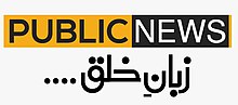 Public-News-Logo-1.jpg