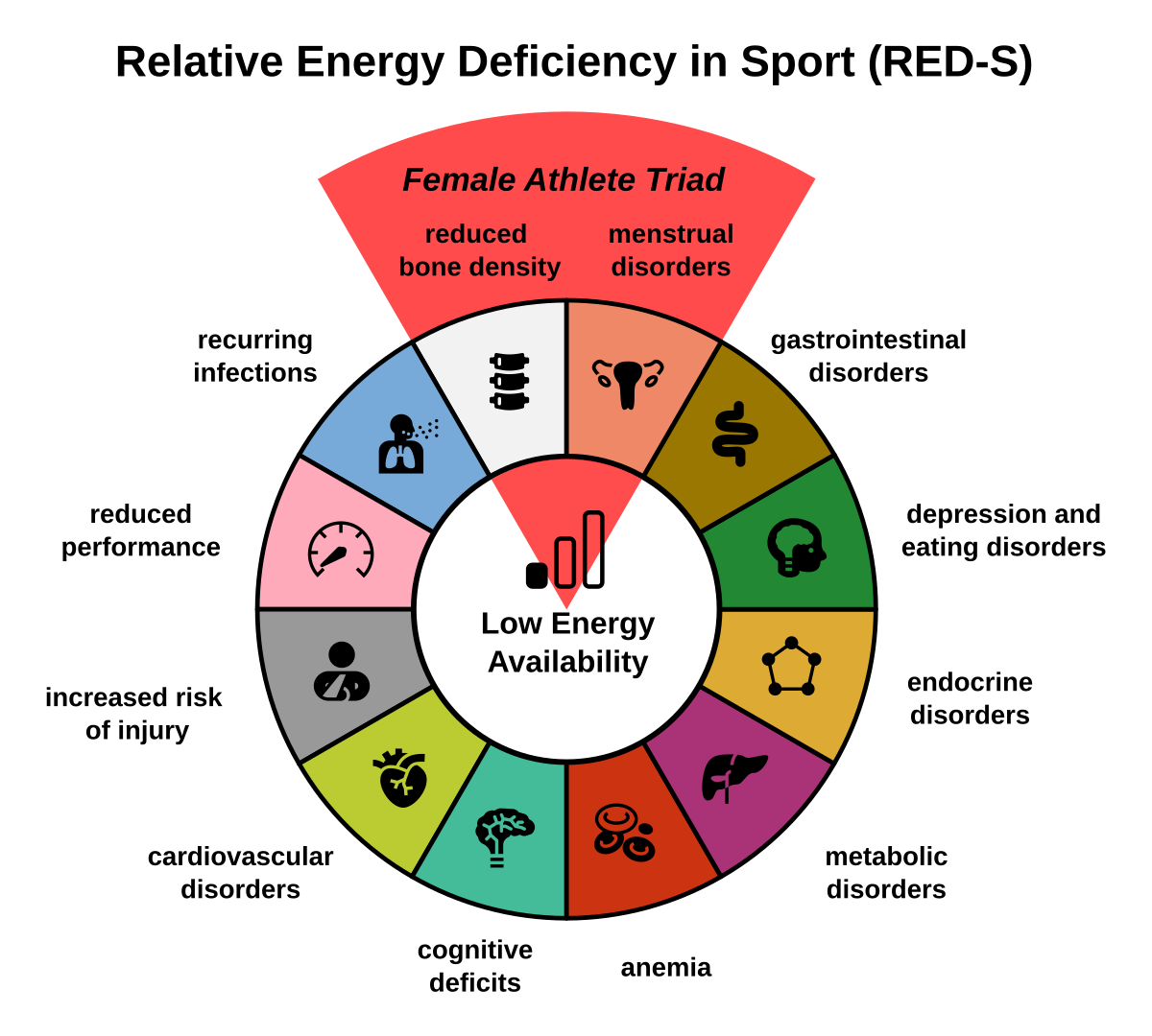 Relative energy deficiency in sport