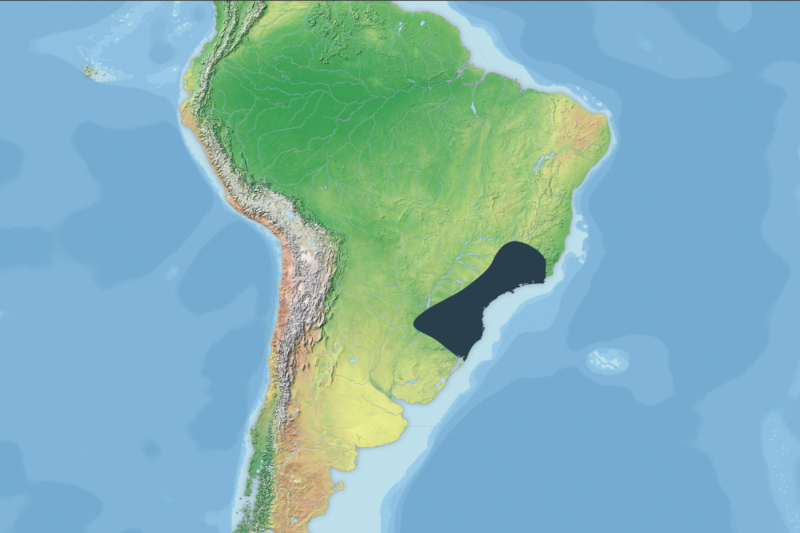 File:Range of the Brazilian Gracile Mouse Opossum.png