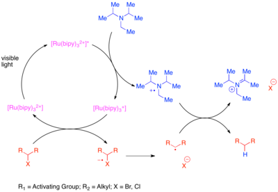 Схема каталитического цикла, предложенная для механизма их безоловянного восстановления активированных галогенов