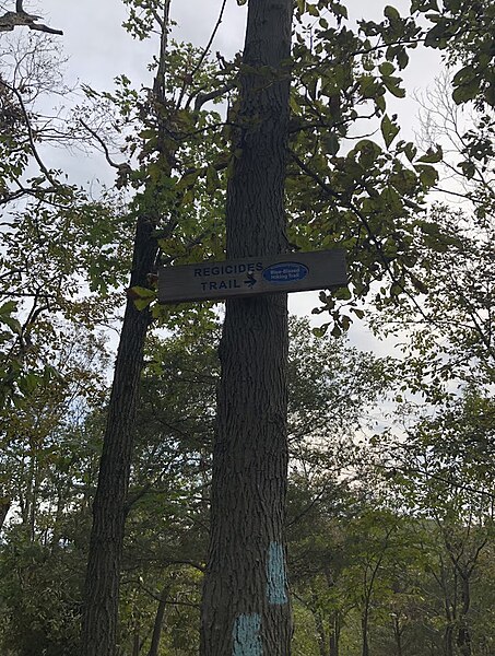 File:Regicides Trail marker on the north end of west rock 2021.jpg