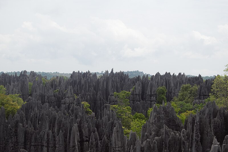 File:Relief karstique, Tsingy de Bemaraha, Madagascar.jpg