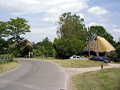 Ratchatching in East Grimstead - geograph.org.uk - 192696.jpg