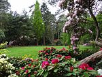 Rhododendronpark Hobbie