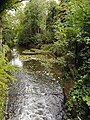 Crane River, Crane Park Island