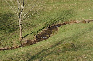 The Rubach above Gaisbach