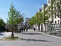 Vue de la rue au niveau de la Promenade plantée.