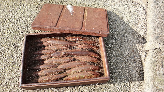 Rusty fish box