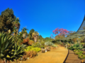 Thumbnail for Ruth Bancroft Garden