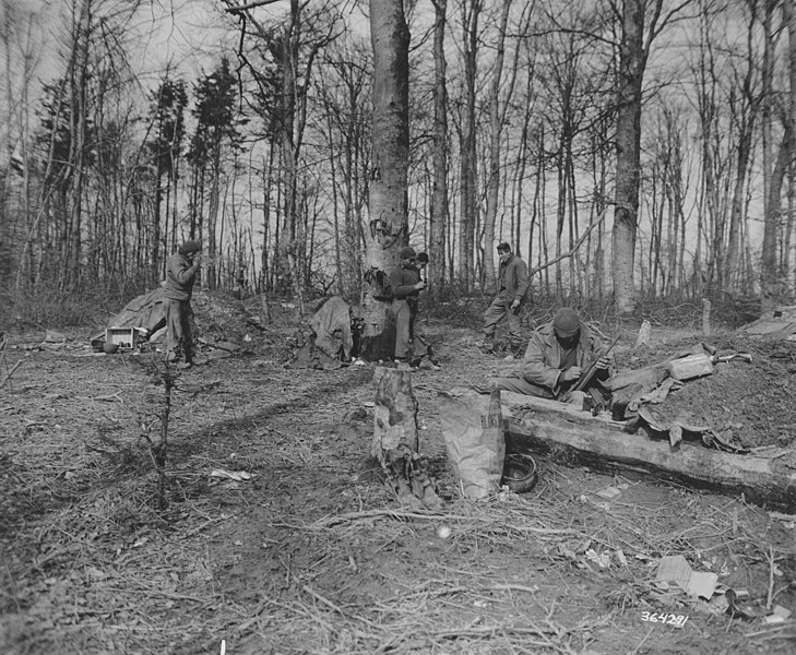 File:SC 364291 - In a forest on the Saar front in the area of the 44th Division, Seventh U.S. Army, soldiers with support Infantry Platoon, who established outposts, are cleaning their weapons after returning from a mission. (52098644668).jpg