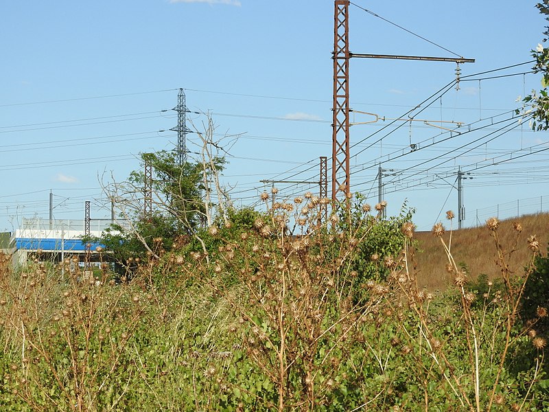 File:SNCF Nimes Montpellier with CNM bridges behind 6223.JPG