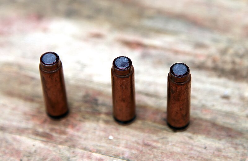 File:SP-4 rounds before the shooting.jpg