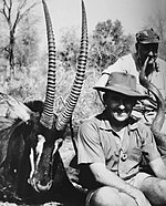 Urquijo (front) with the Duke of Penaranda and a Sable antelope, Mozambique, 1967 Sable Antelope hunting.jpg