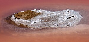 Salt-crust on saline pond