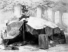 Ալբերտ Մեյ. «Կաթնավաճառուհի» արձանը Եկատերինյան այգում, 1877