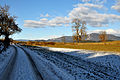English: Hibernal landscape with rural way Deutsch: Winterliche Landschaft mit Feldweg