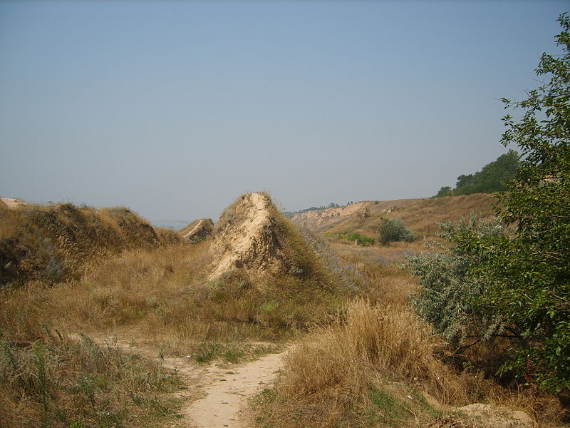 File:Sarmat-step.JPG