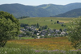 Hofsgrund district