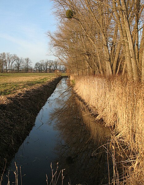 File:Schwante am Park.jpg