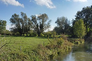 Hederaue nature reserve with Thuler Moorkomplex (October 2017)