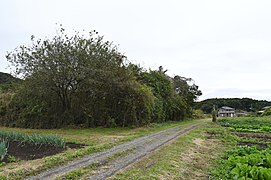 Sekiwaku Kanga Site, gaikan.jpg