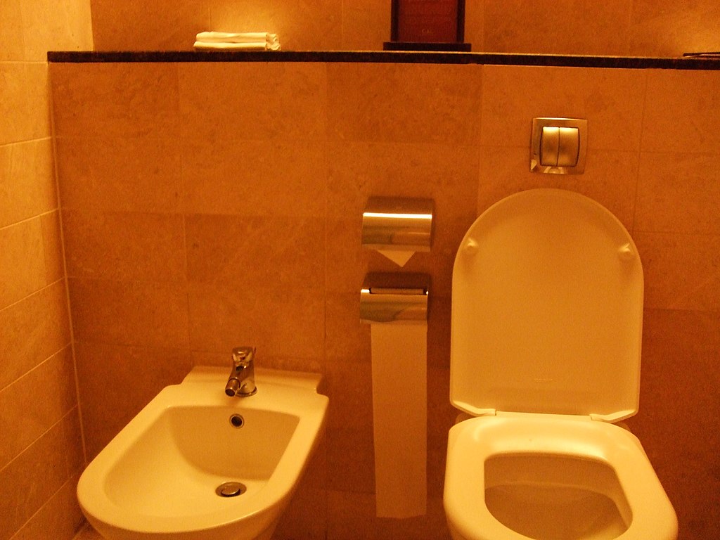 European toilet with bidet