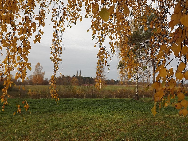 File:Skats uz Viļakas Romas katoļu baznīcu - panoramio.jpg