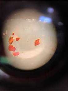 Crystal of the complex Sm(Cp )3 Sm(Cp-tet)3 crystals.png
