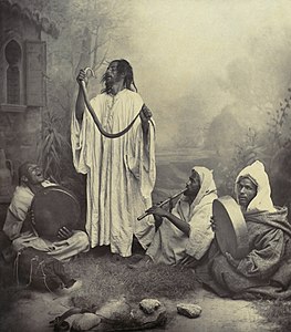Yılan oynatıcıları: ayaktaki adam yılanı tutmakta, oturanlardan biri ney üfürmekte ve ikisi ise bendir çalmaktadır. Bu fotoğraf 19. yüzyılın sonlarında Beyrut'ta oturan Fransız fotoğrafçı Tancrède Dumas tarafından çekilmiştir (Tanca, Fas) (Üreten: Tancrède Dumas)