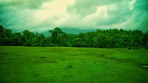 Somewhere in the interiors of Cotigao