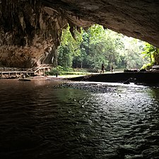 Grotte de Tham Lot (en)