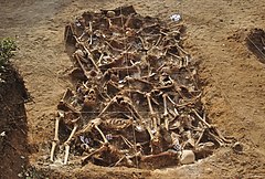 Twenty-six republicans executed by Francoists at the beginning of the Spanish Civil War. Spanish Civil War - Mass grave - Estepar, Burgos.jpg