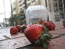 Strawberries dropped on the ground. The five-second rule suggests that if they are picked up within five seconds, it is safe to eat them without rewashing. Spilled strawberries.jpg