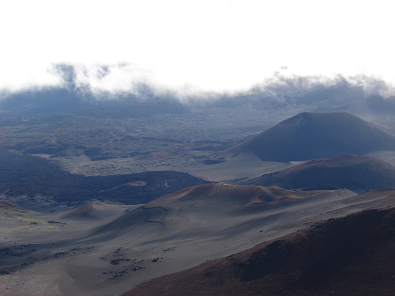 File:Starr-081014-0105-Argyroxiphium sandwicense subsp macrocephalum-habitat-HVC Haleakala National Park-Maui (24926105075).jpg