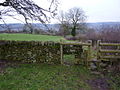 Stile and hole in the wall - geograph.org.uk - 1639194.jpg