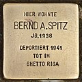 Stolperstein für Bernd A. Spitz (Neumünster).jpg