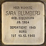 Stumbling block for Sara Blumberg (Heidelberg) .jpg