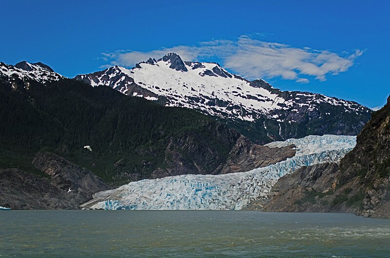 File:Stroller White Mountain.jpg