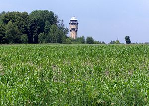 Katowice: Położenie, Środowisko naturalne, Nazwa