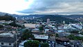 Tegus, Honduras.jpg