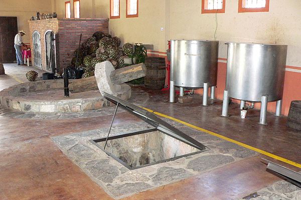 A tahona, large stone wheel, at the Hacienda Doña Engracia that was used to crush the piña. Large, modern distilleries commonly complete this process 