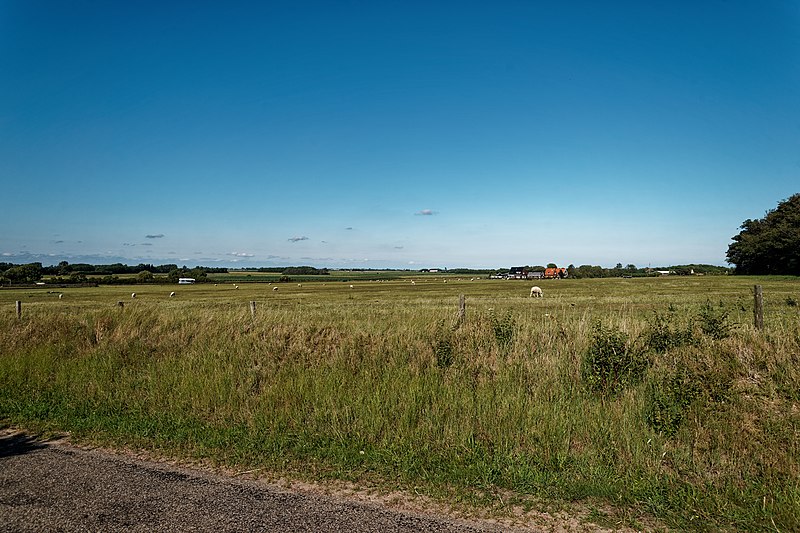 File:Texel - Hoge Berg - Schansweg - View NE II.jpg