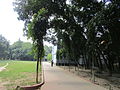 Thakurgaon Govt Womens College Campus.JPG