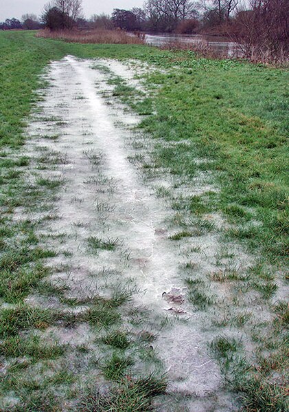 File:Thames Path heading for Shillingford - geograph.org.uk - 640156.jpg