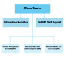 Diagram of the Office of Human Research Protections' organizational structure The Office of Human Research Protections Organization Graph.png