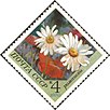 The Soviet Union 1970 CPA 3943 stamp (Camomiles).jpg